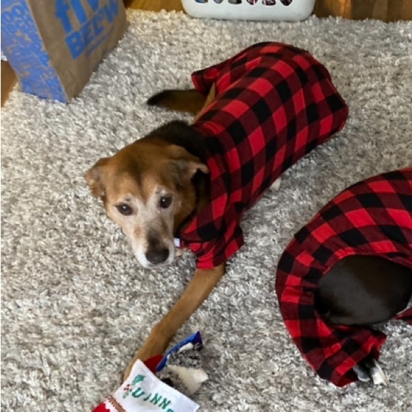 ❤️🖤Medium dog red and black buffalo plaid Christmas pajamas - Picture 2 of 6